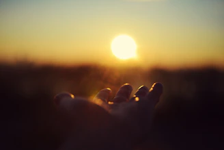 a person holding their hand out in front of the sun