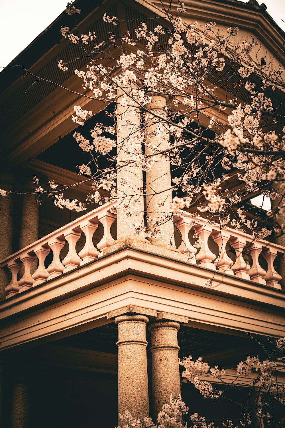 a tall building with a tree in front of it