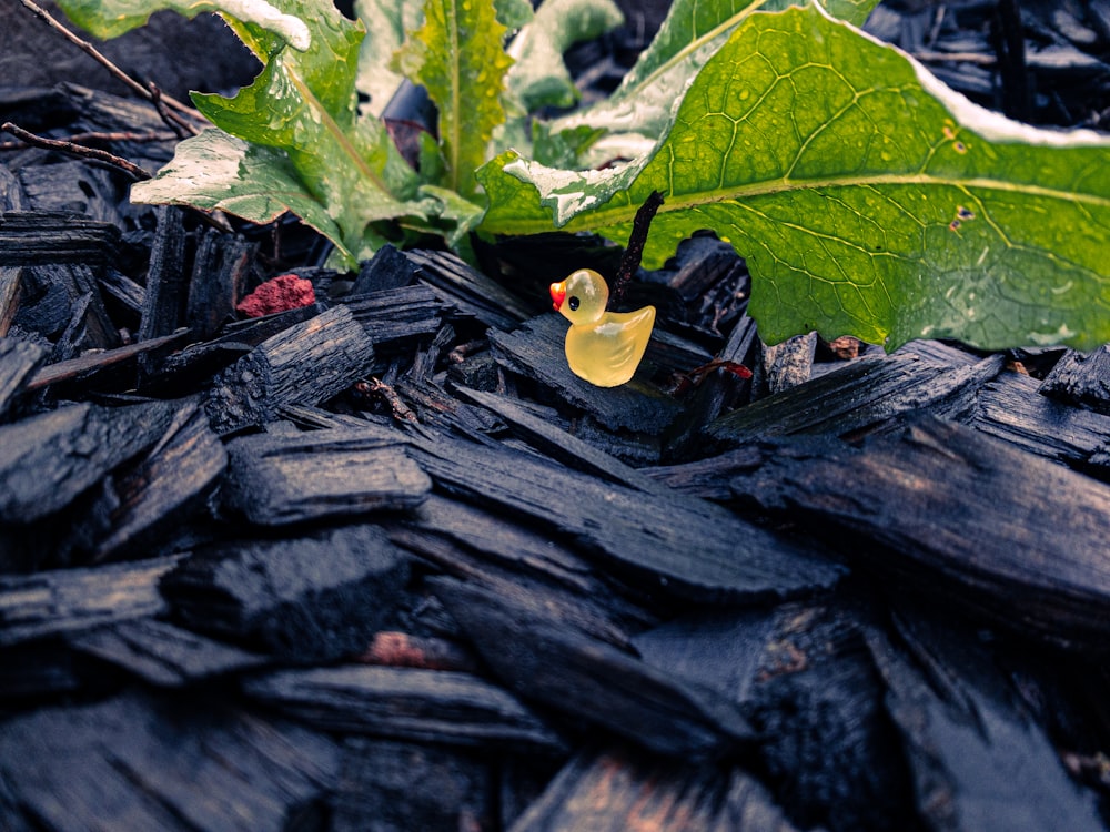 a rubber ducky toy sitting on top of a pile of wood