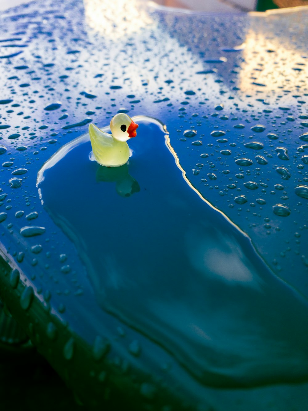 a rubber duck floating in a pool of water