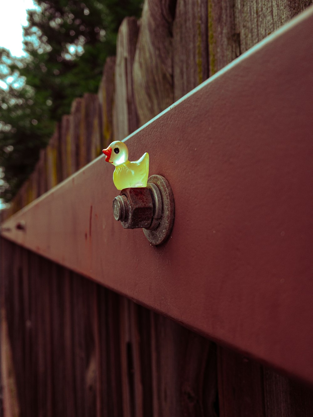 a rubber duck sitting on top of a wooden fence