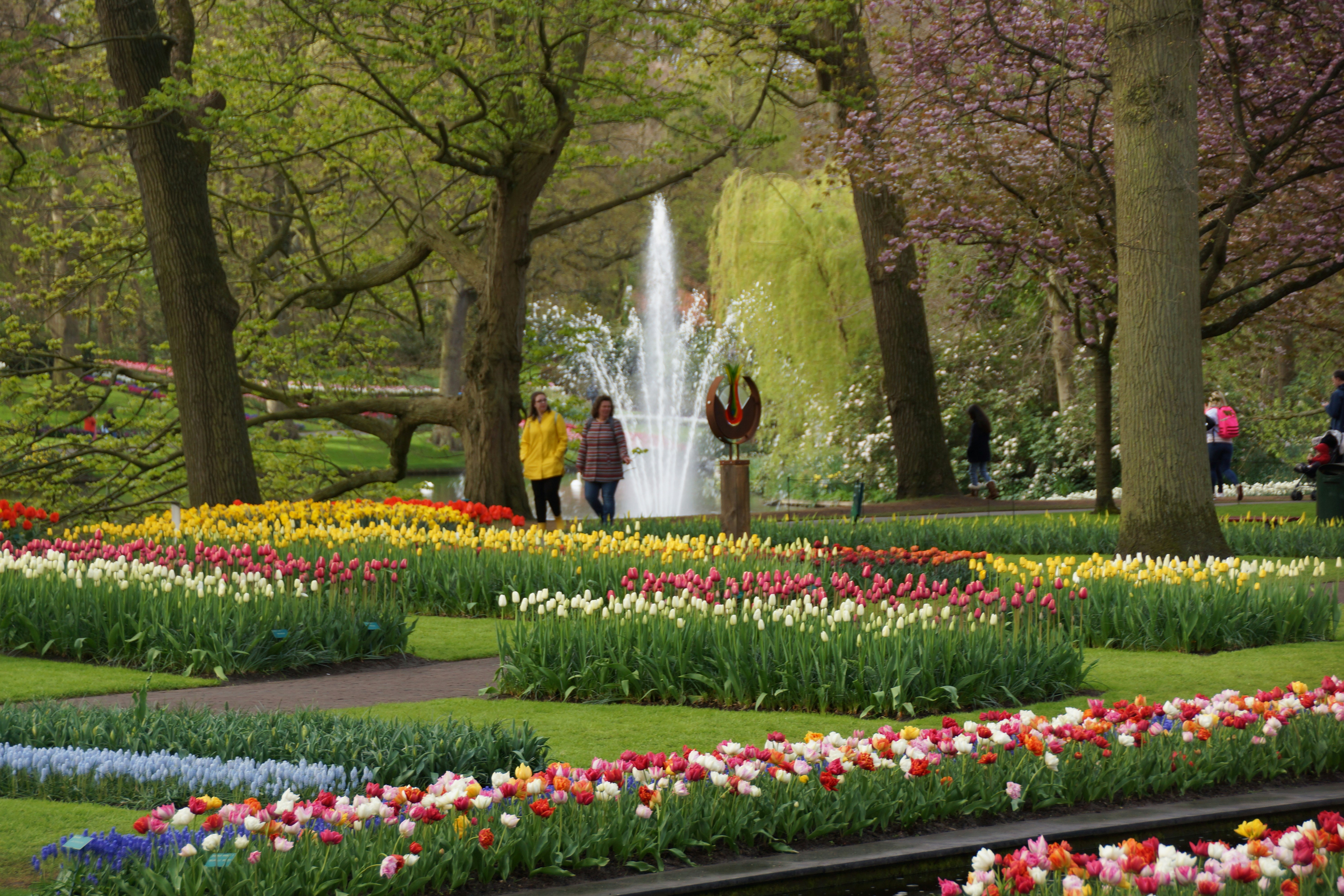 Photo by qld_traveller