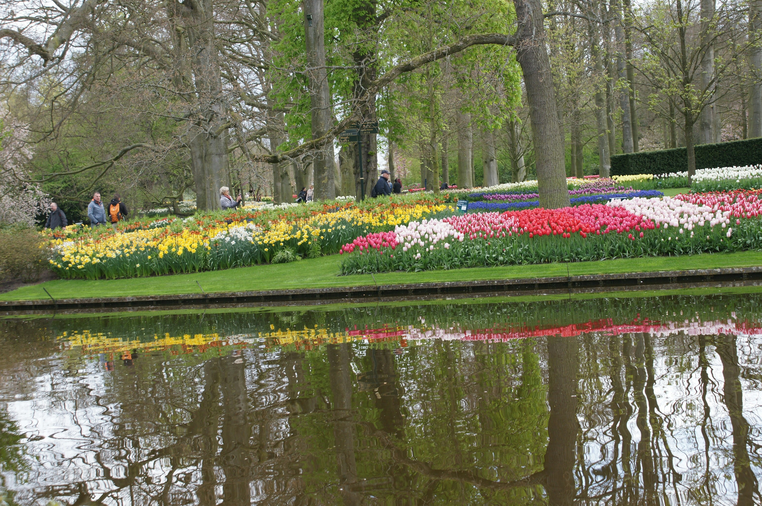 Photo by qld_traveller