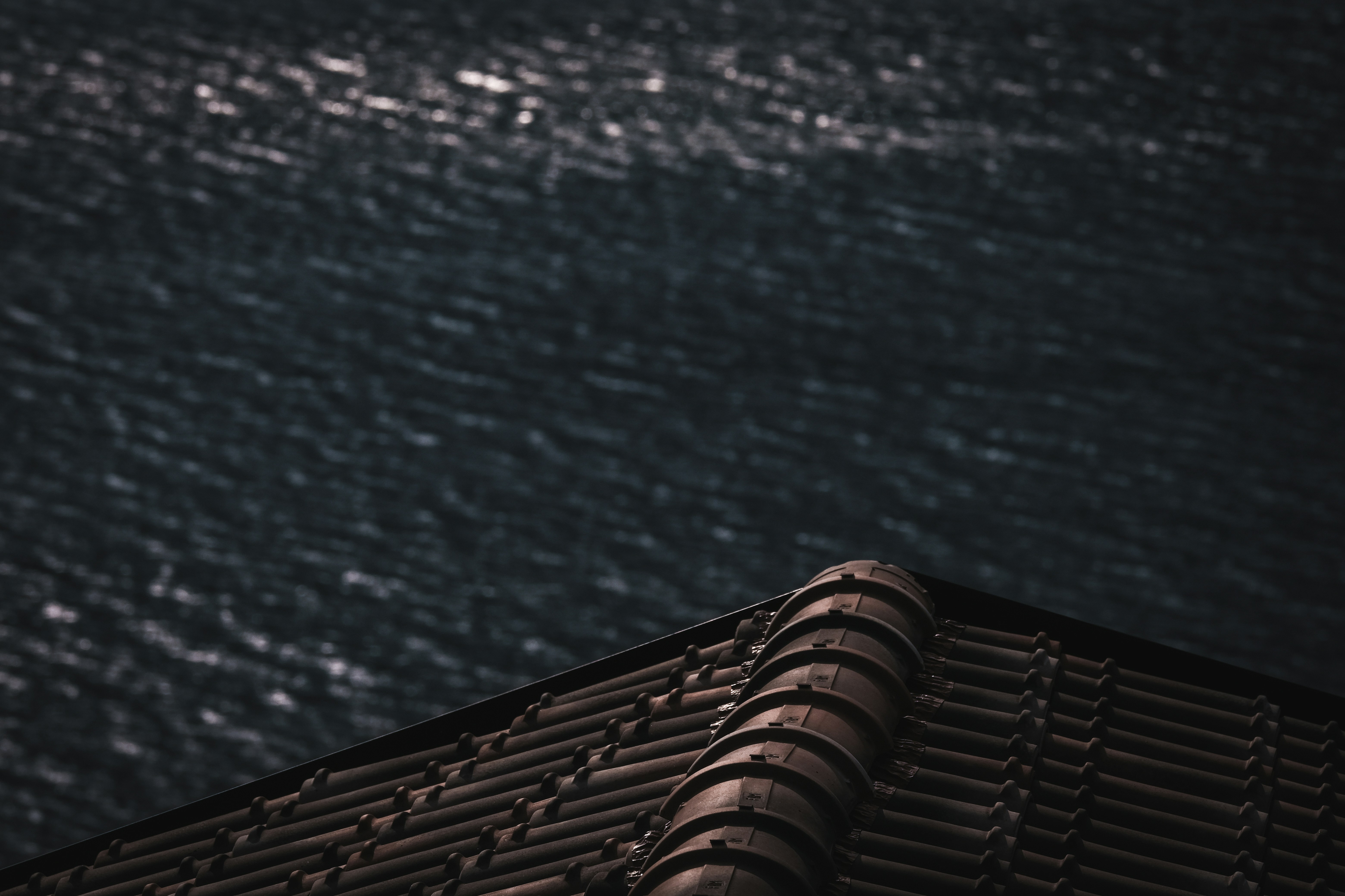 a bird sitting on top of a roof next to a body of water