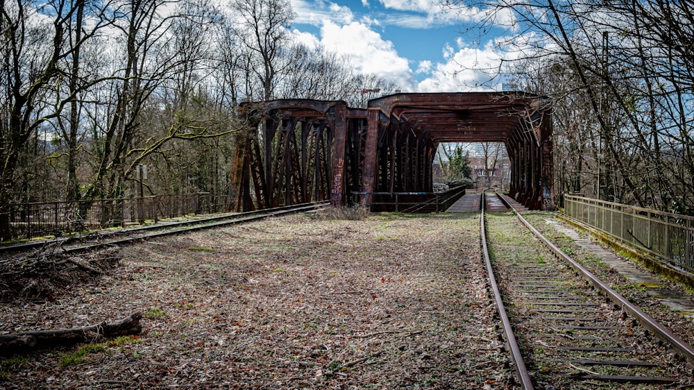a train track crossing over a bridge in the woods