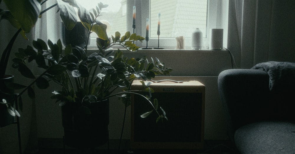 a living room with a couch and a window