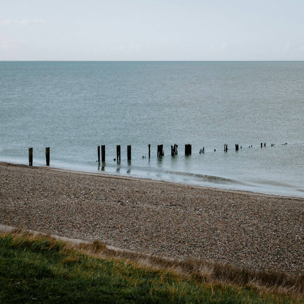 a body of water sitting next to a sandy beach