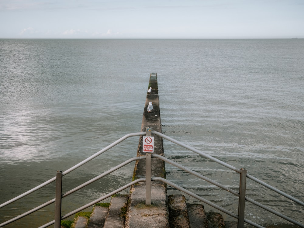 a long metal railing next to a body of water