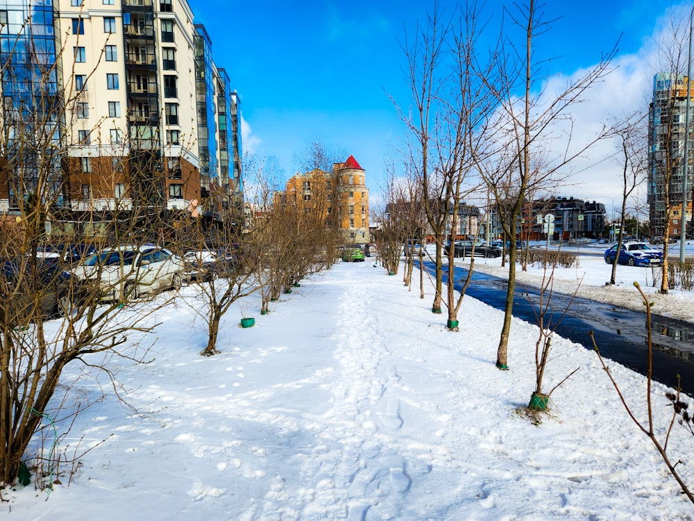 a snow covered path in the middle of a city