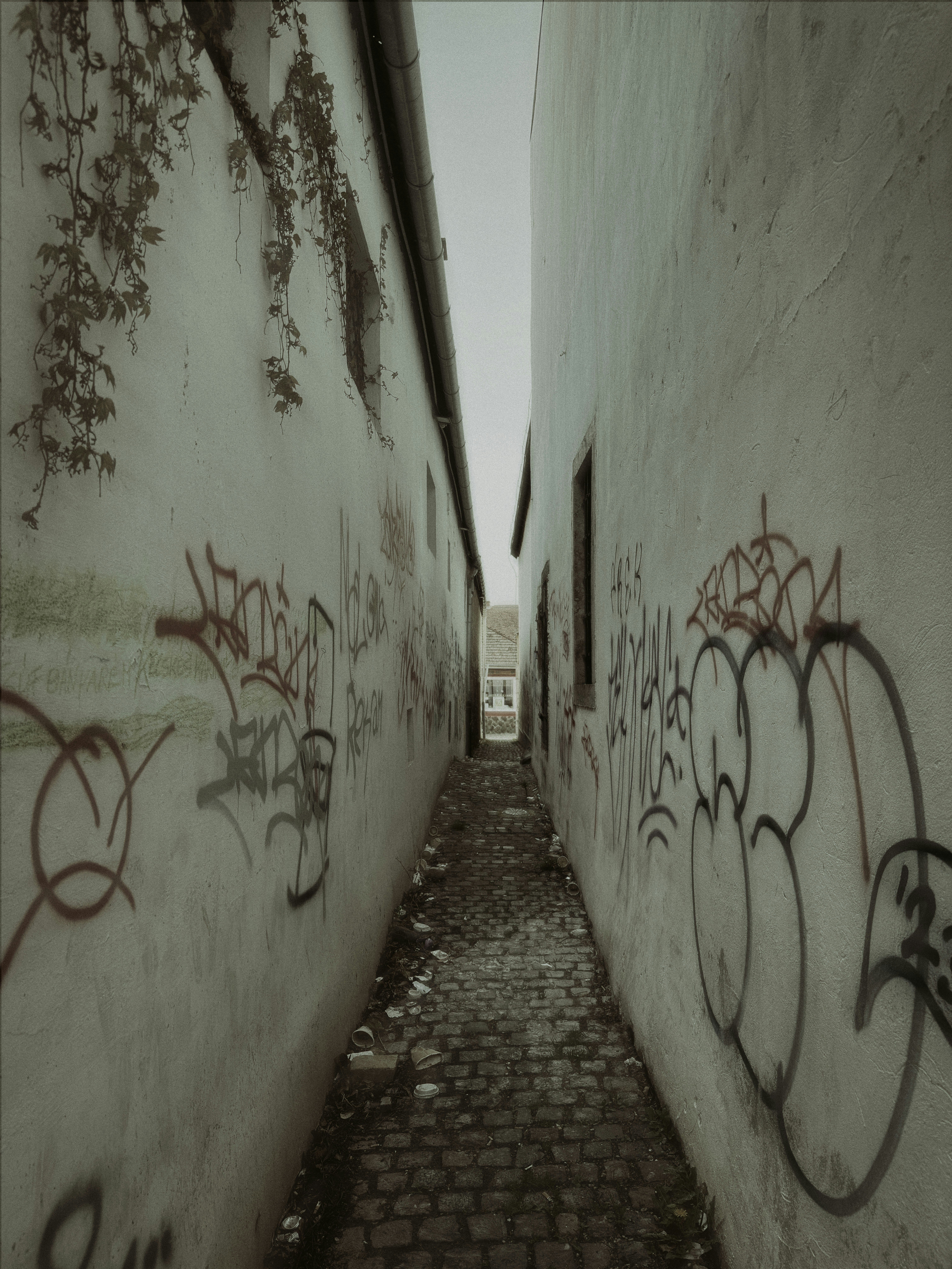 Photo by holdingerbence