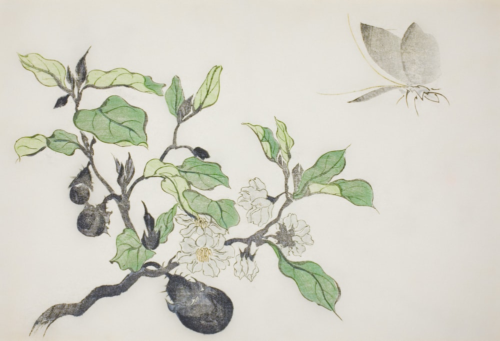 a drawing of a plant with flowers and a butterfly