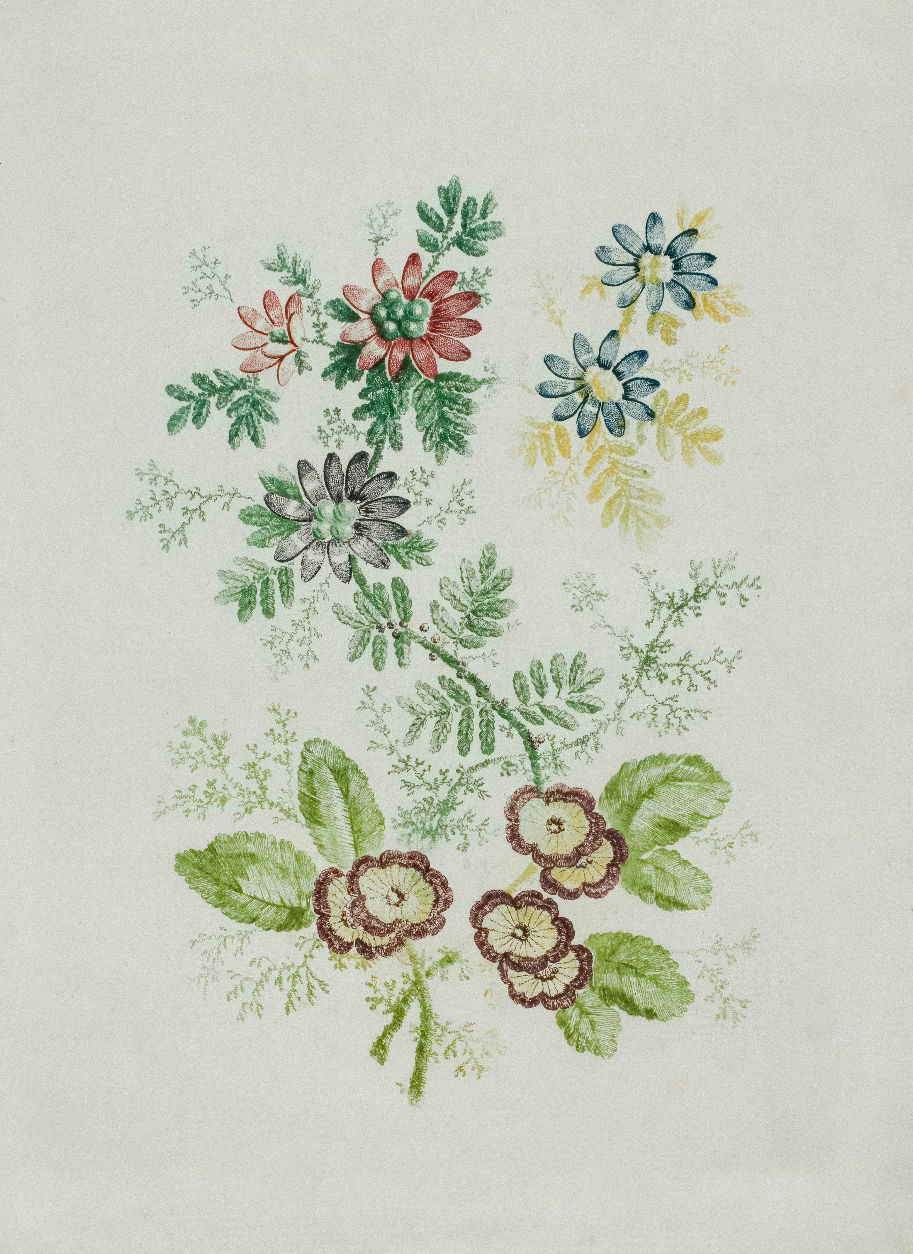 una imagen de un ramo de flores sobre un fondo blanco