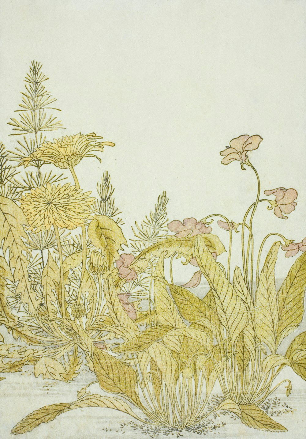 a drawing of flowers and plants on a white background
