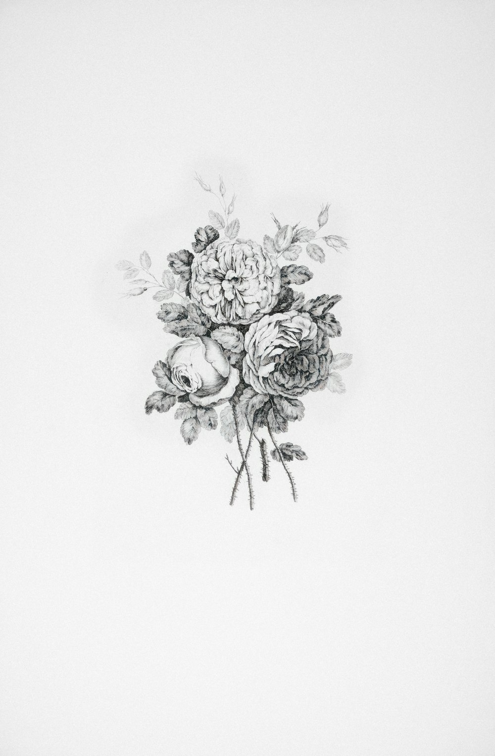 a drawing of a bouquet of flowers on a white background
