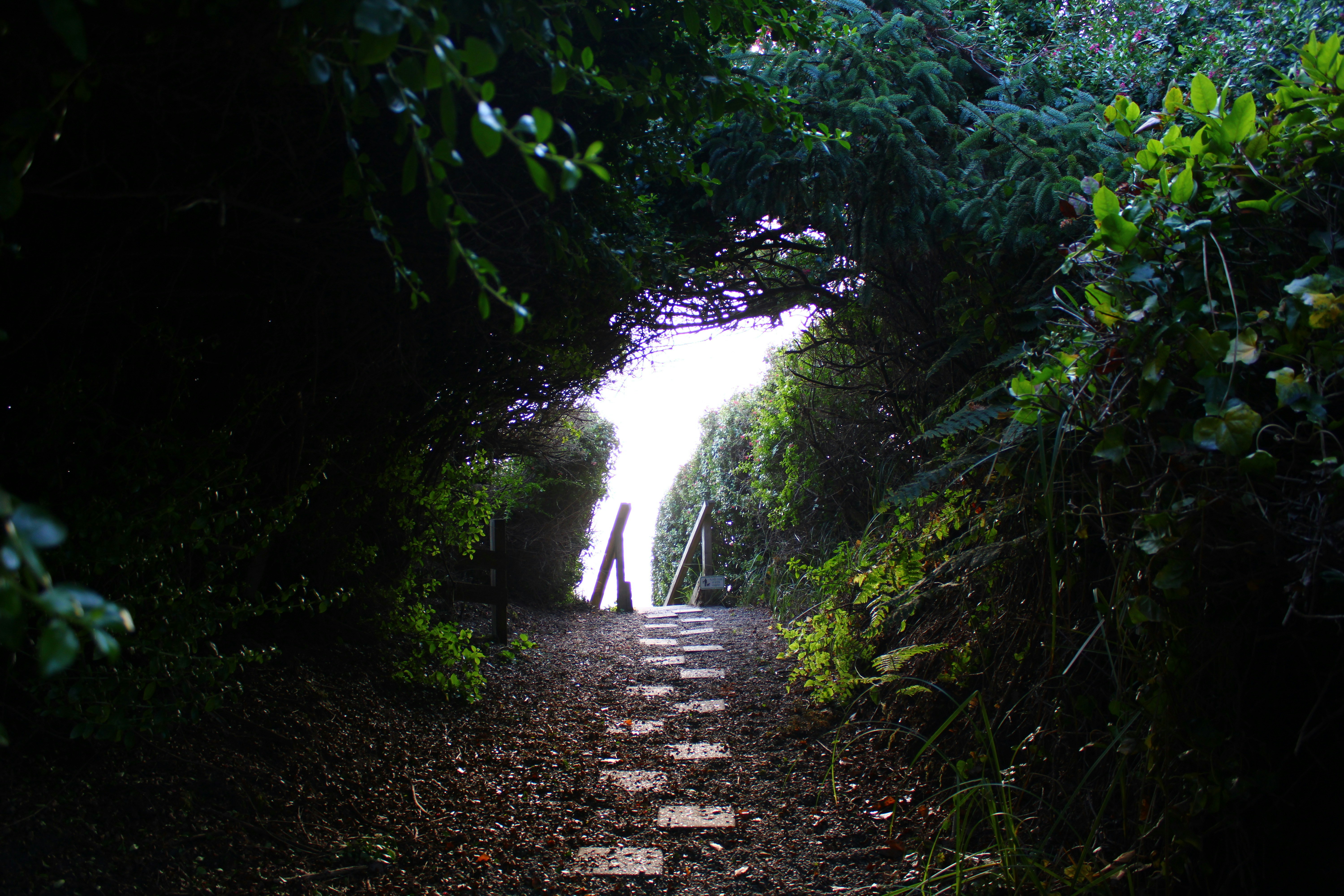 Photo by alisuliman106