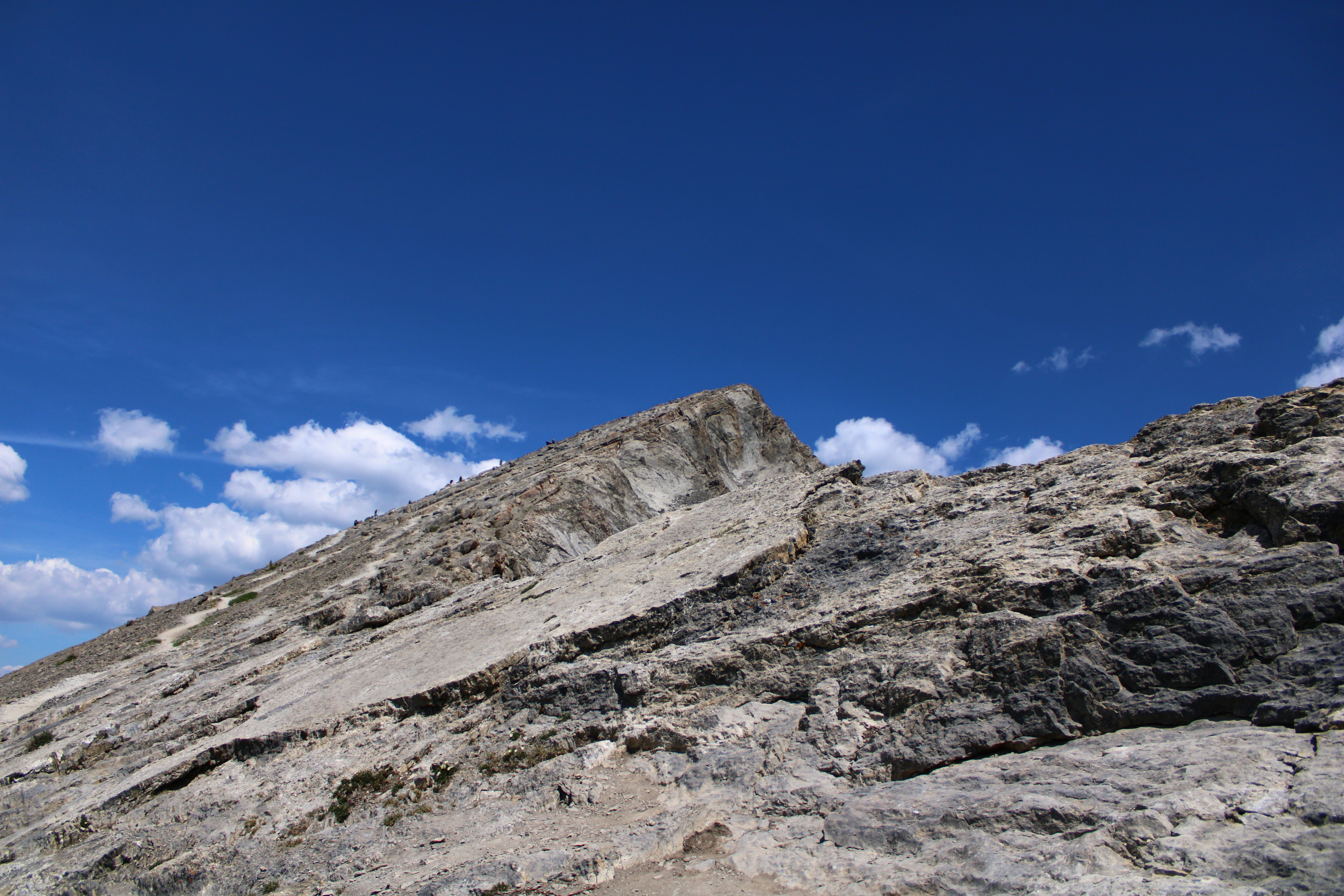 Photo by alisuliman106