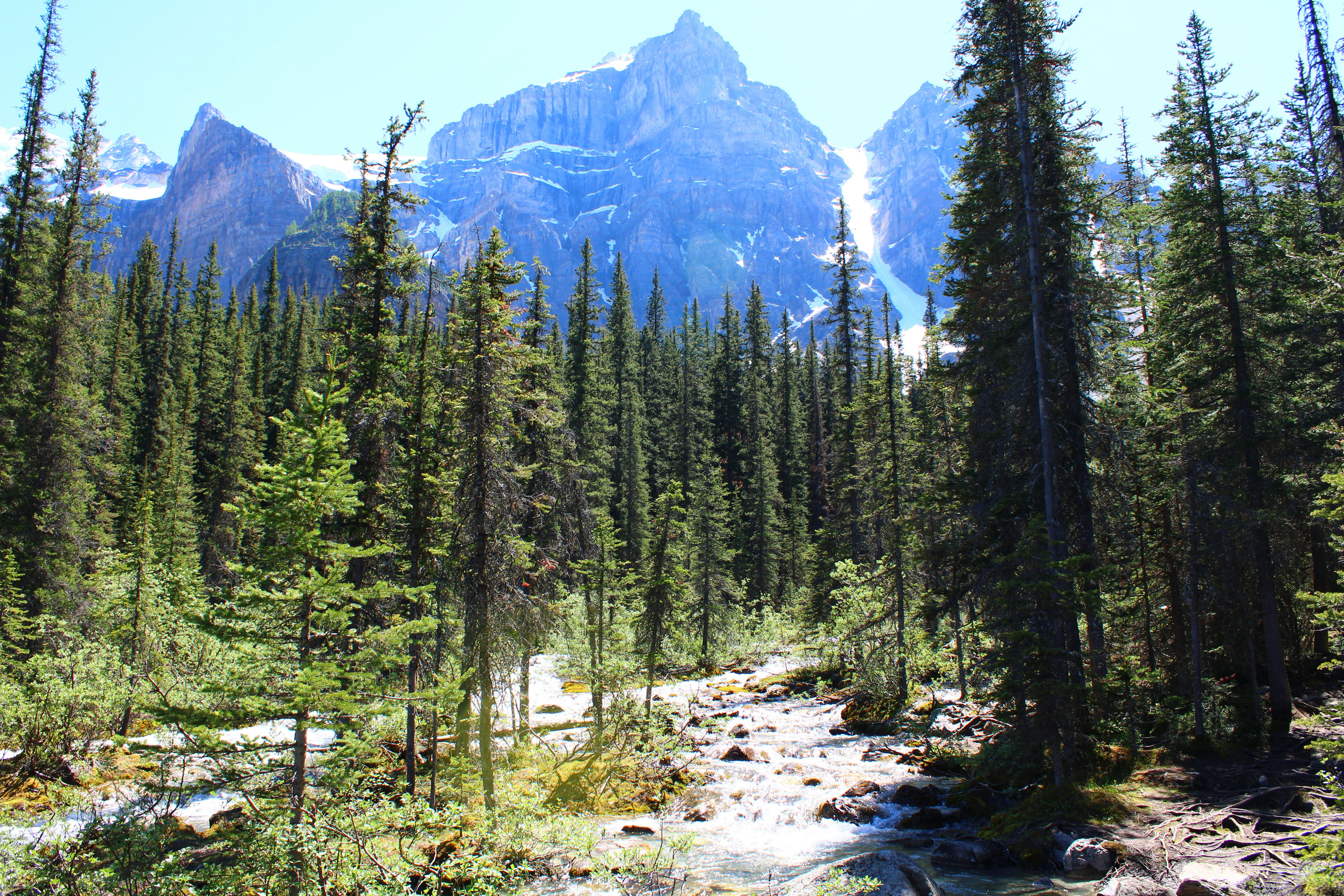 Photo by alisuliman106