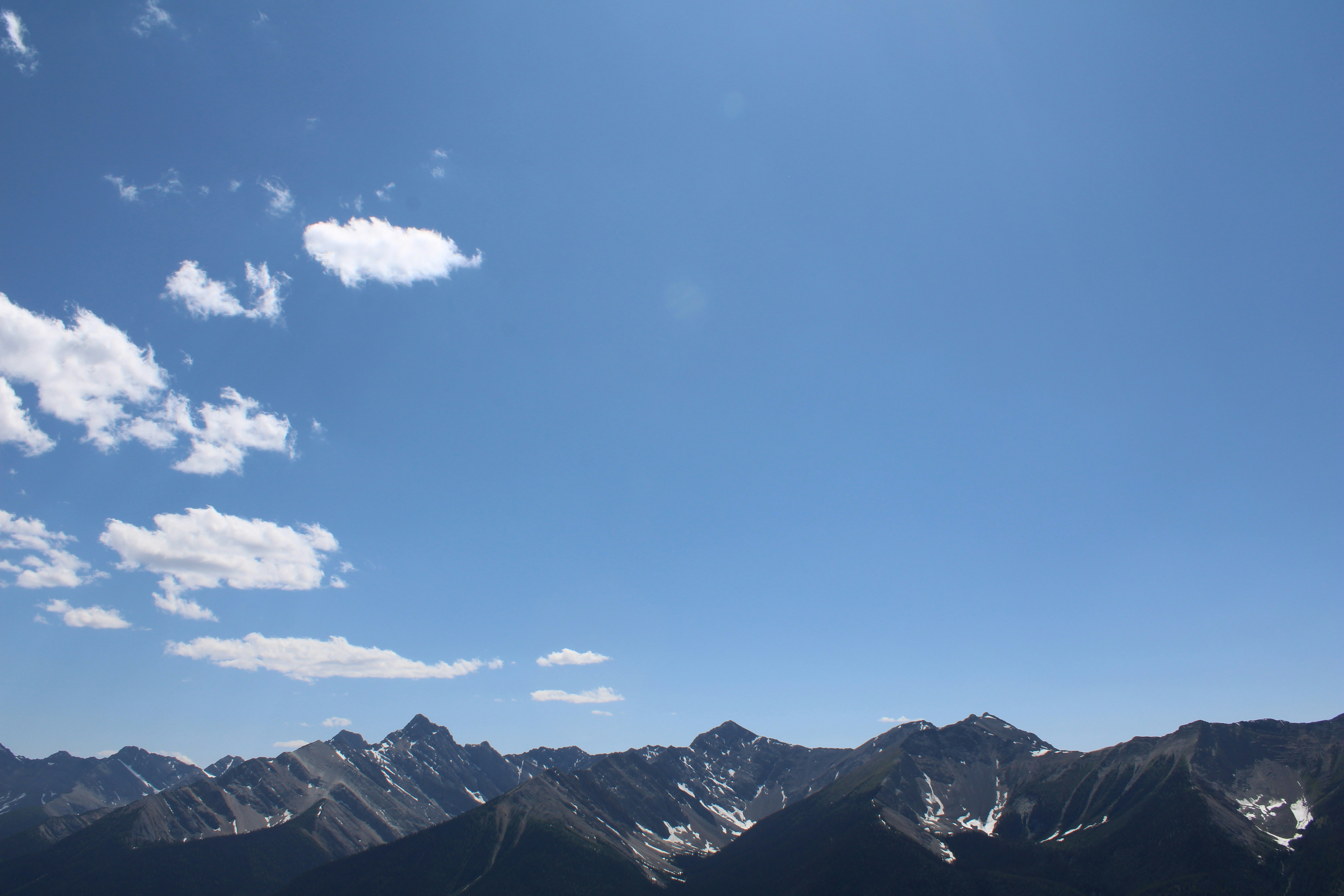 Photo by alisuliman106