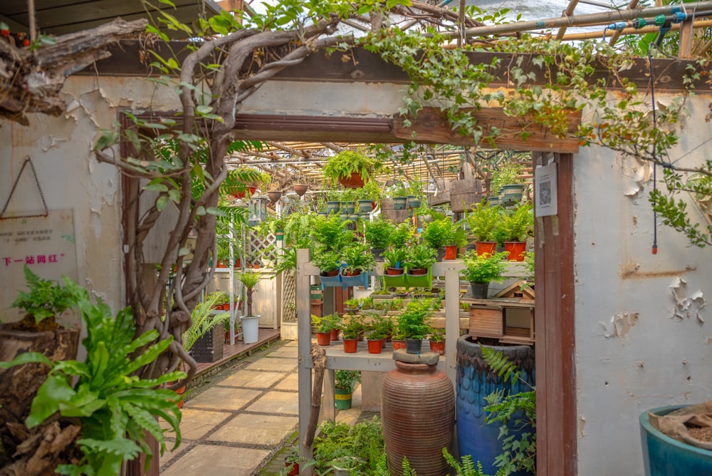 a greenhouse filled with lots of plants and potted plants