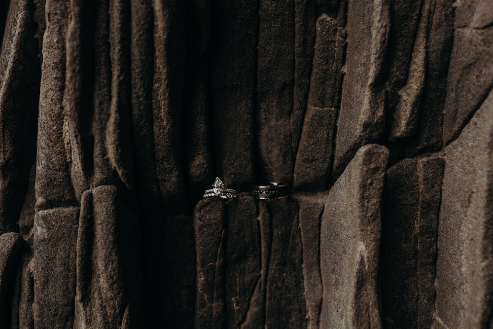 a couple of rings sitting on top of a rock