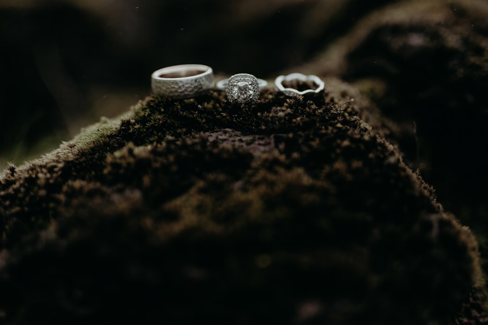 a couple of wedding rings sitting on top of a rock