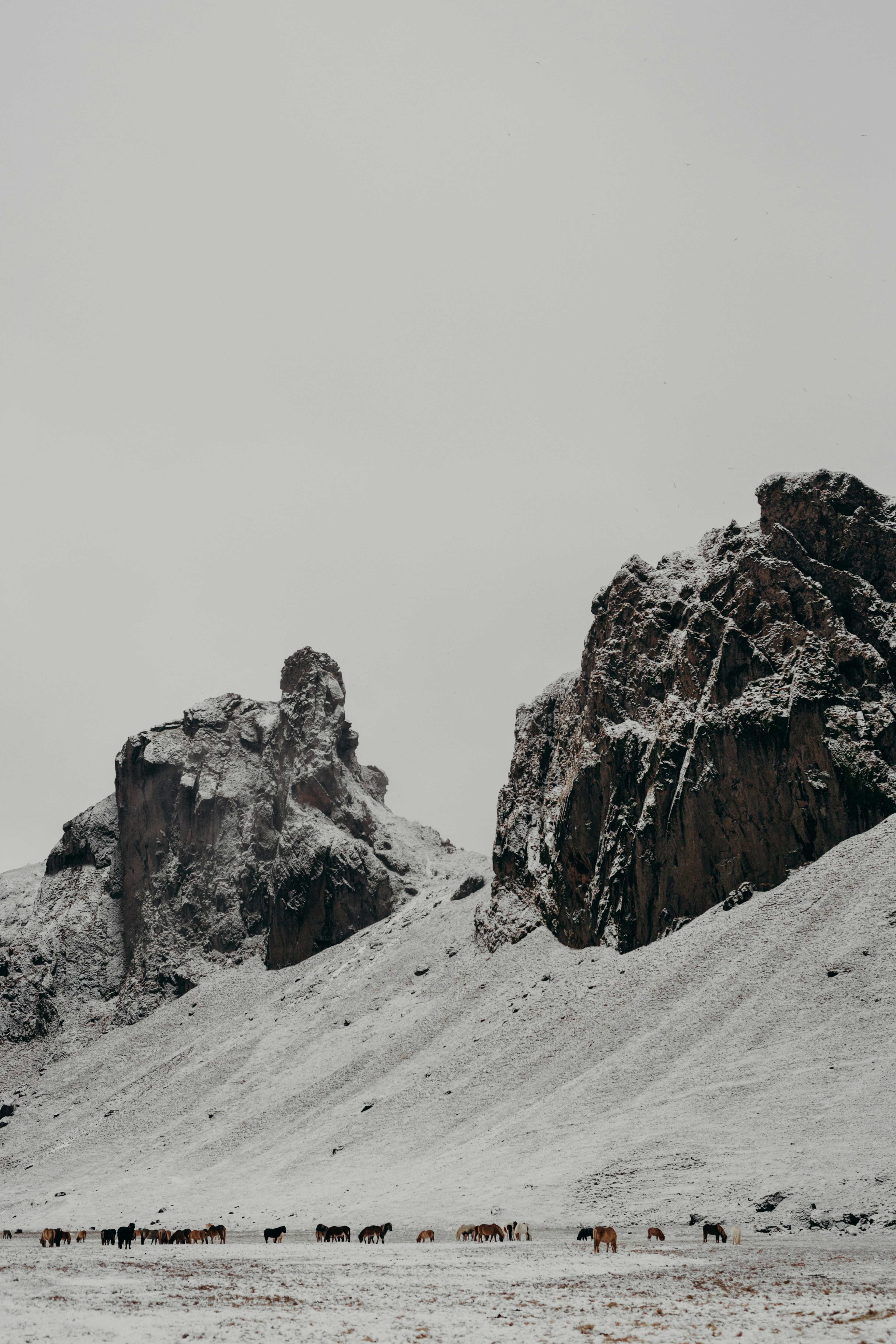 Photo by iskra_photography