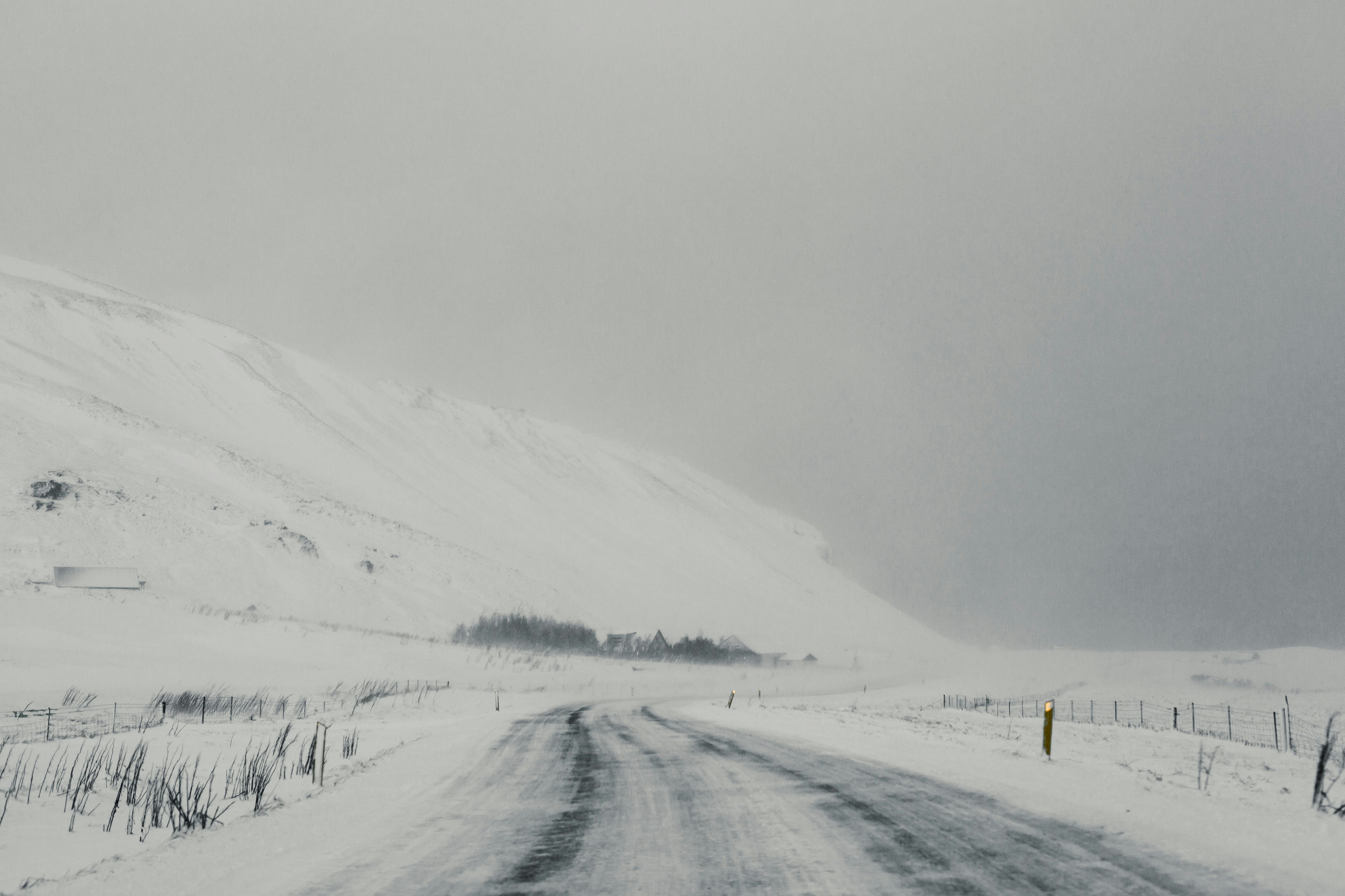 Photo by iskra_photography