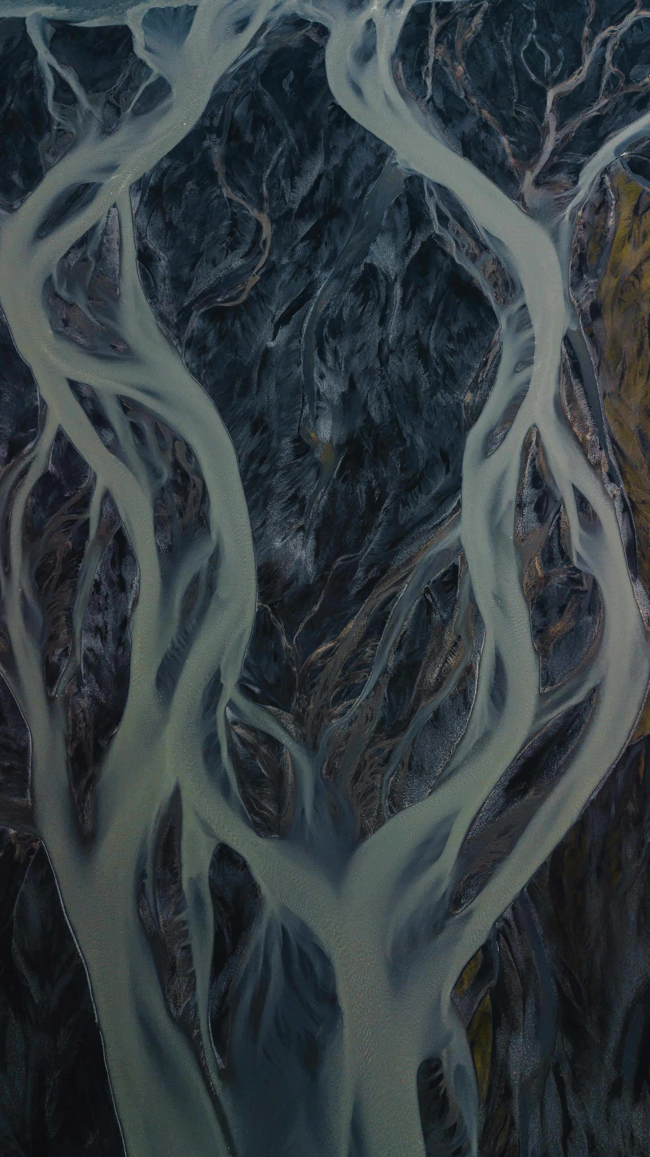 Photo by iskra_photography