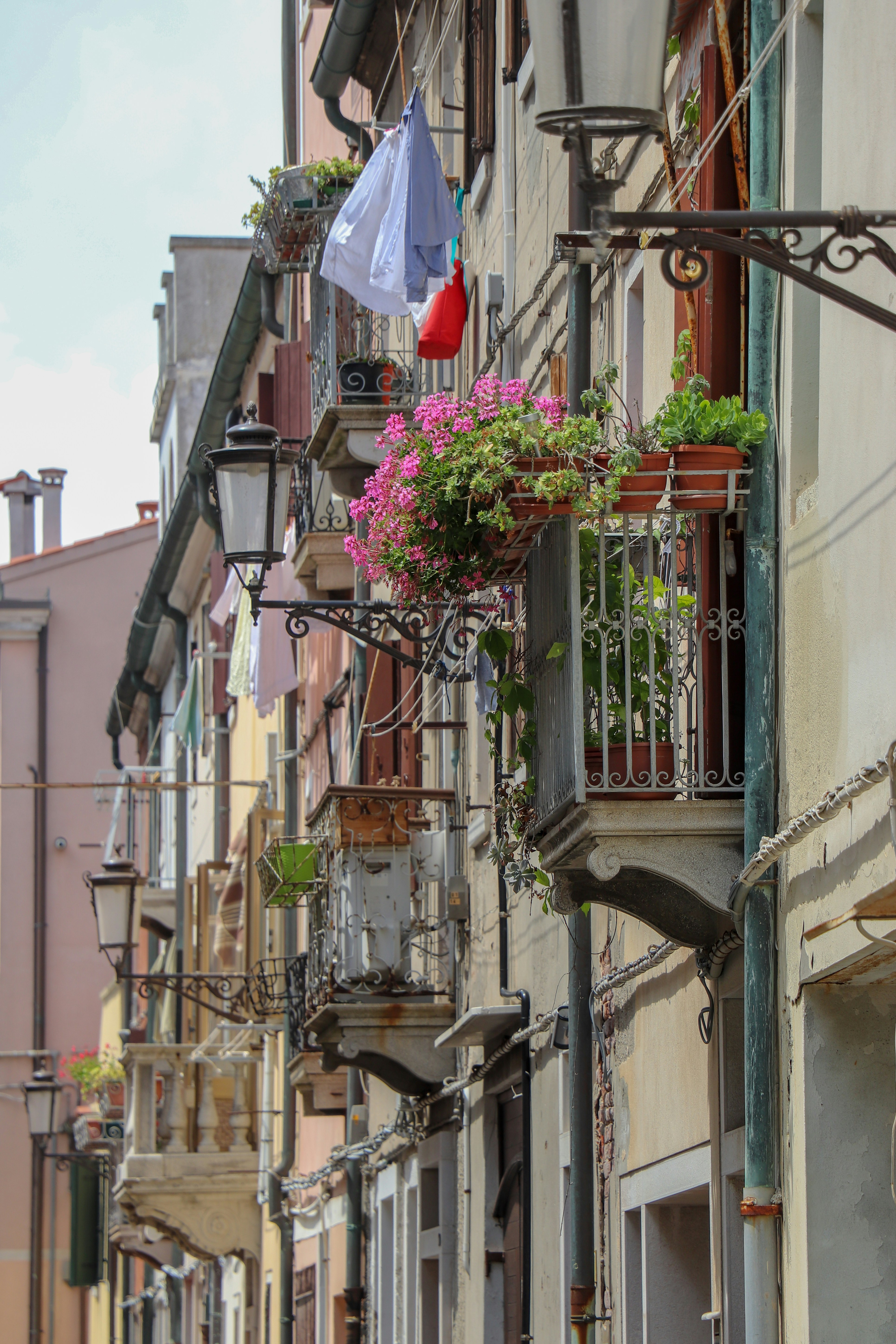 a row of buildings with flowers hanging from the balconies