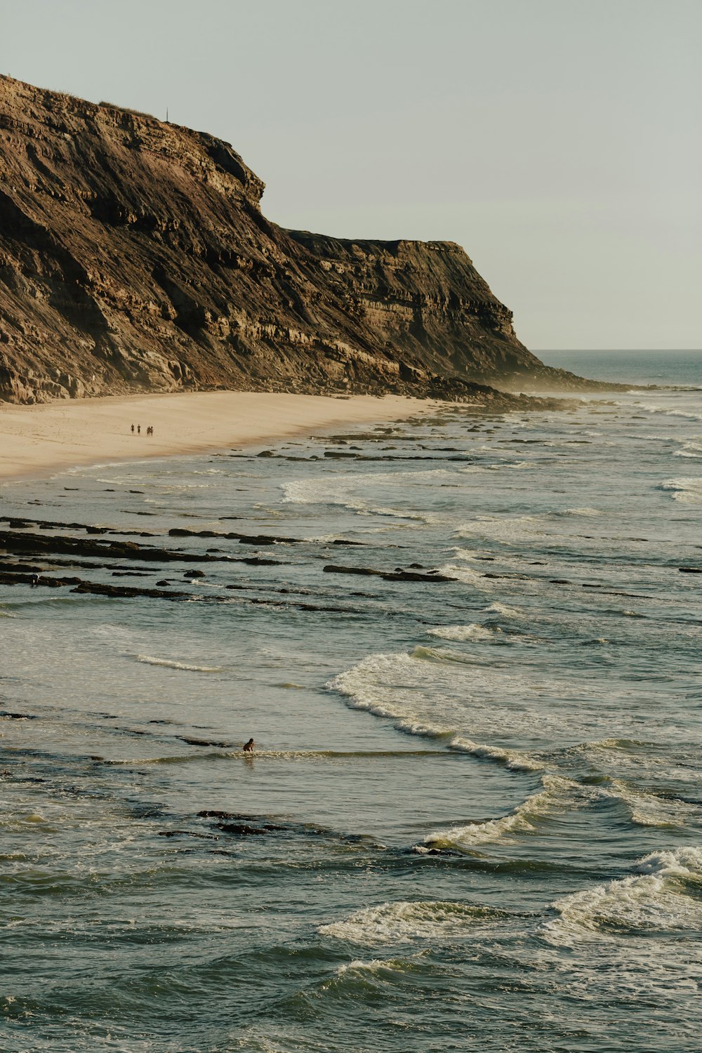 um grupo de pessoas em cima de uma praia ao lado do oceano