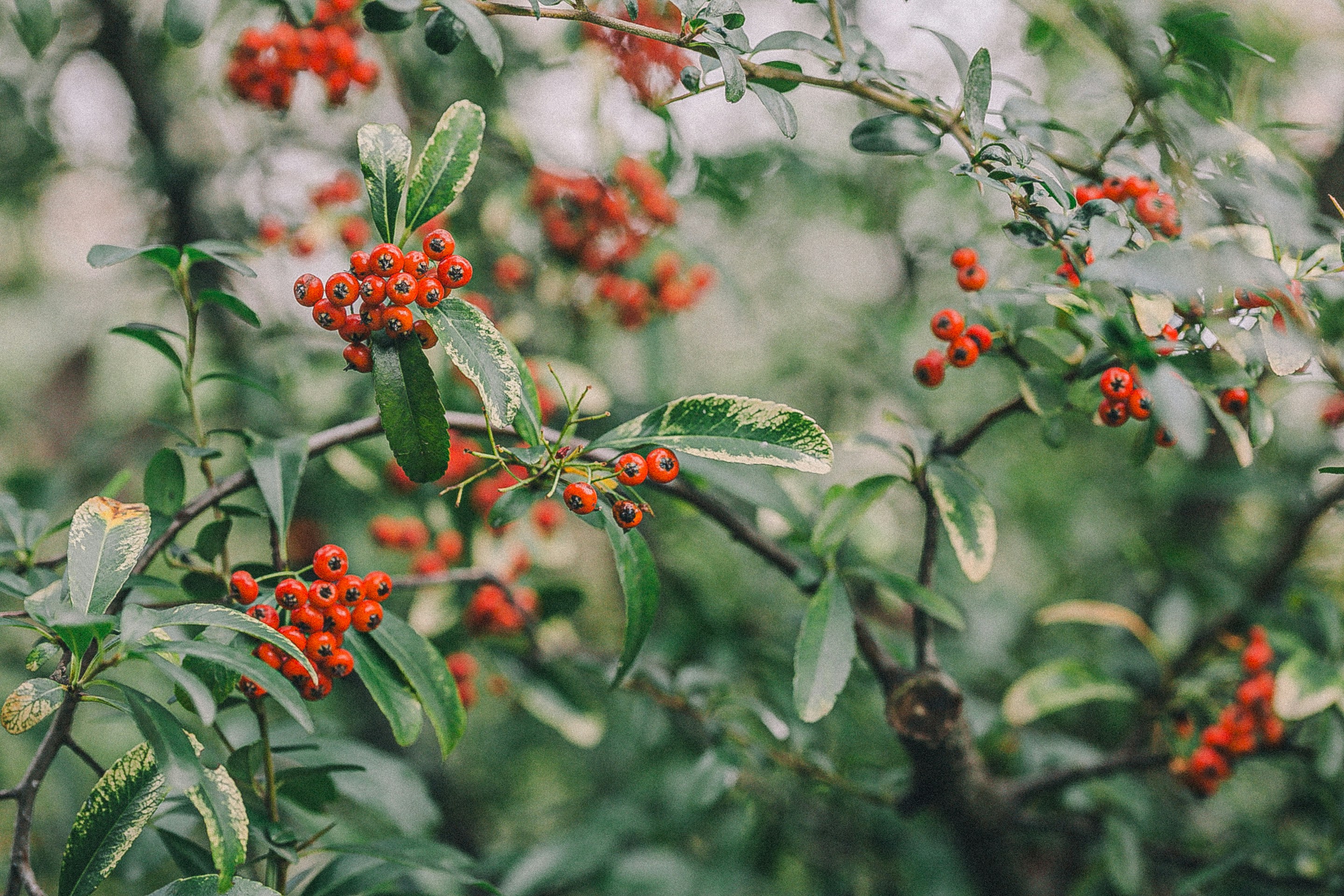 Photo by anna_safronova