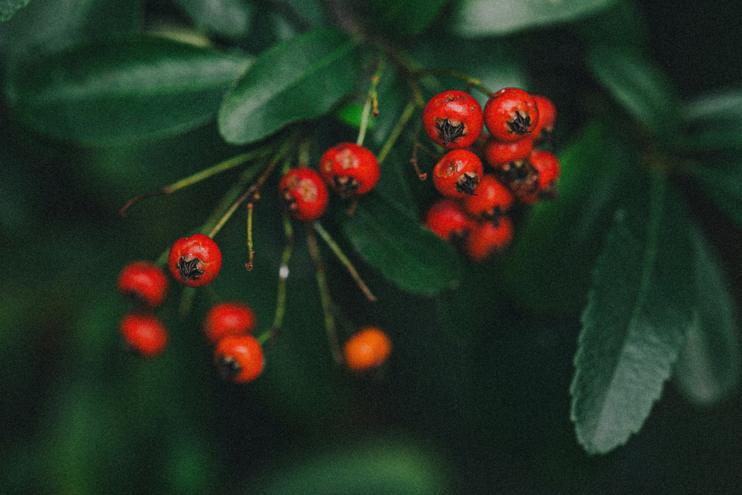 Photo by anna_safronova