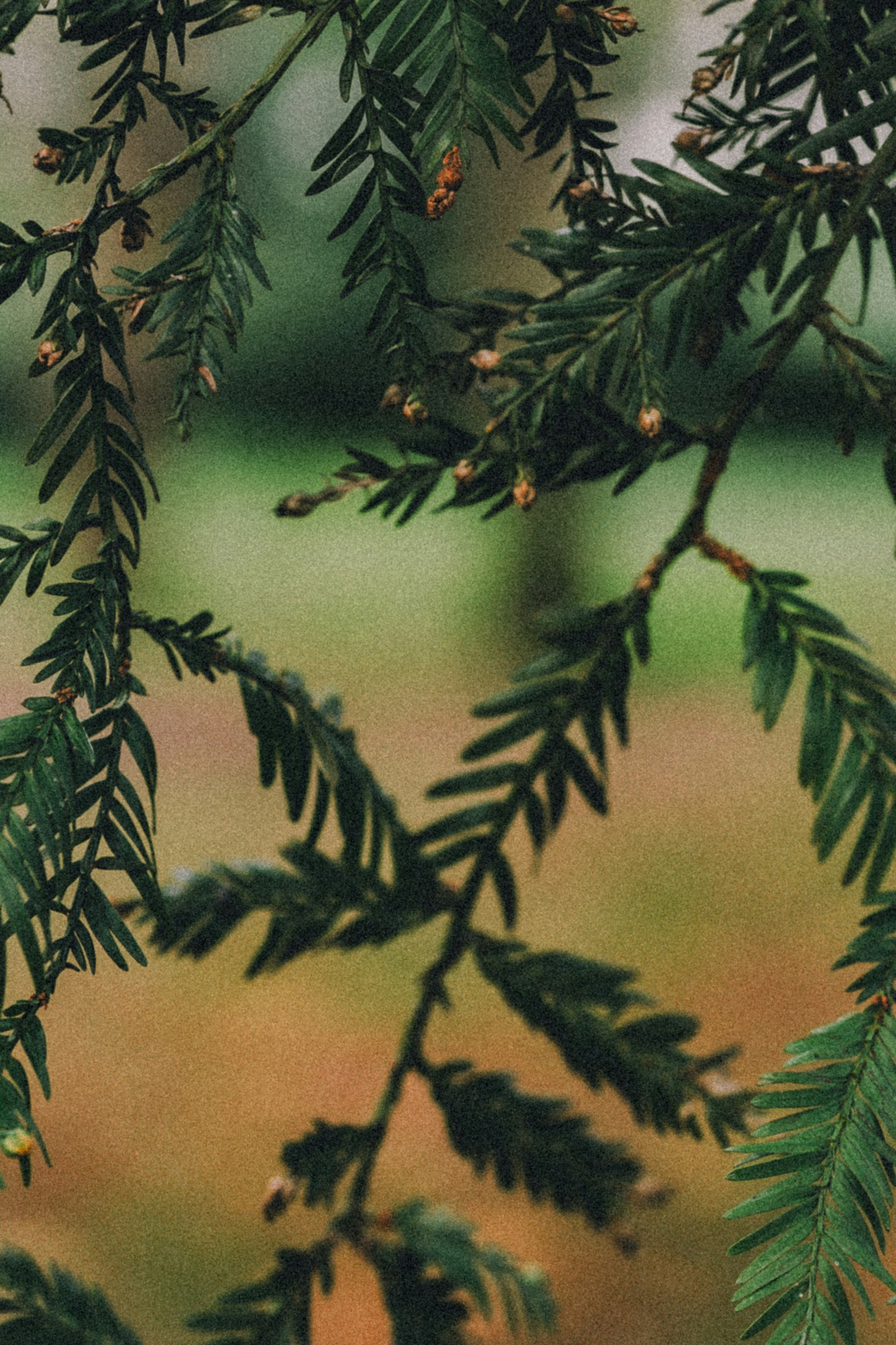 Photo by anna_safronova