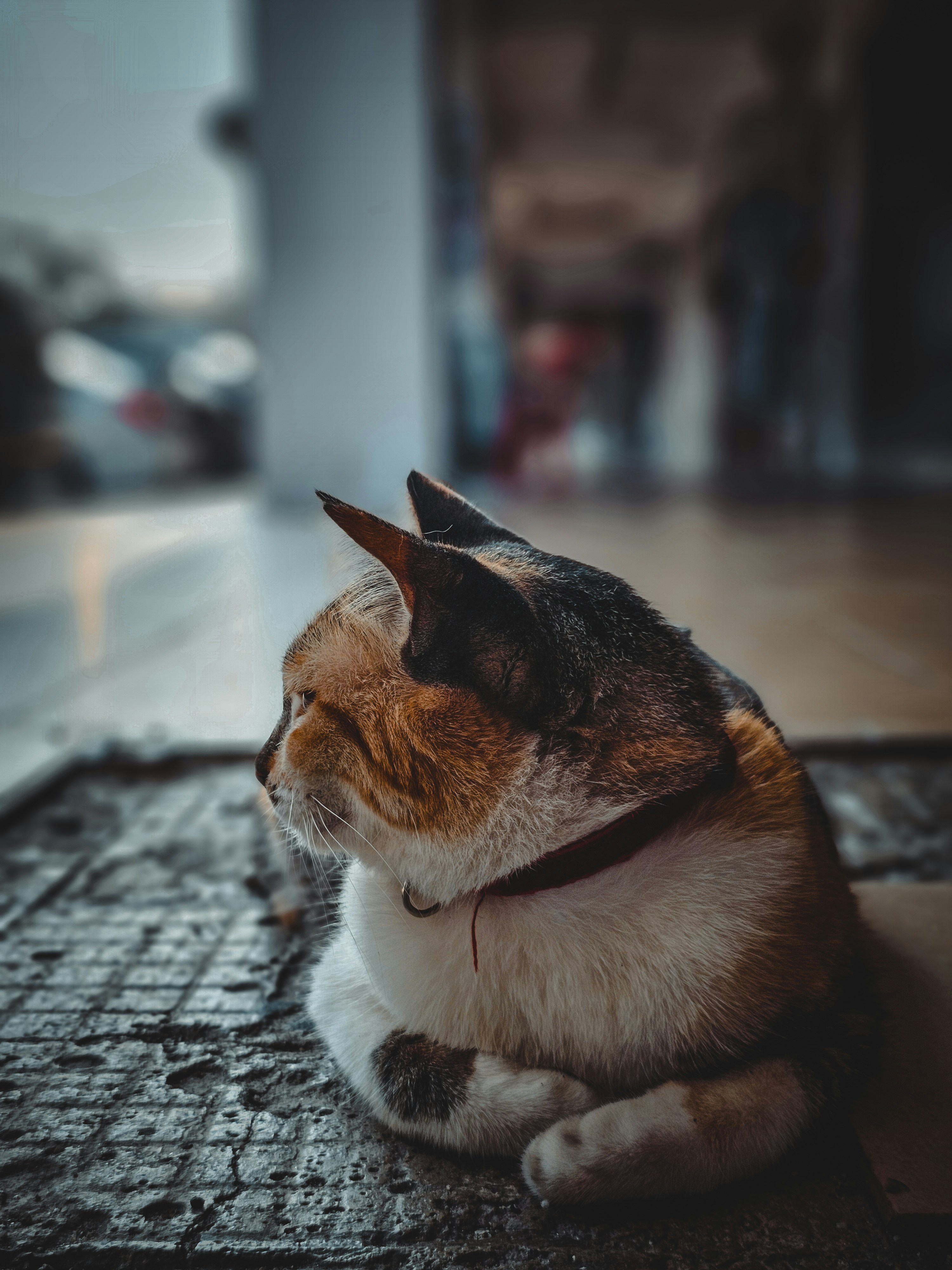 Built-in Safety Features (image credits: unsplash)