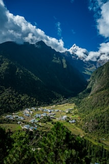a view of a valley with a mountain in the background