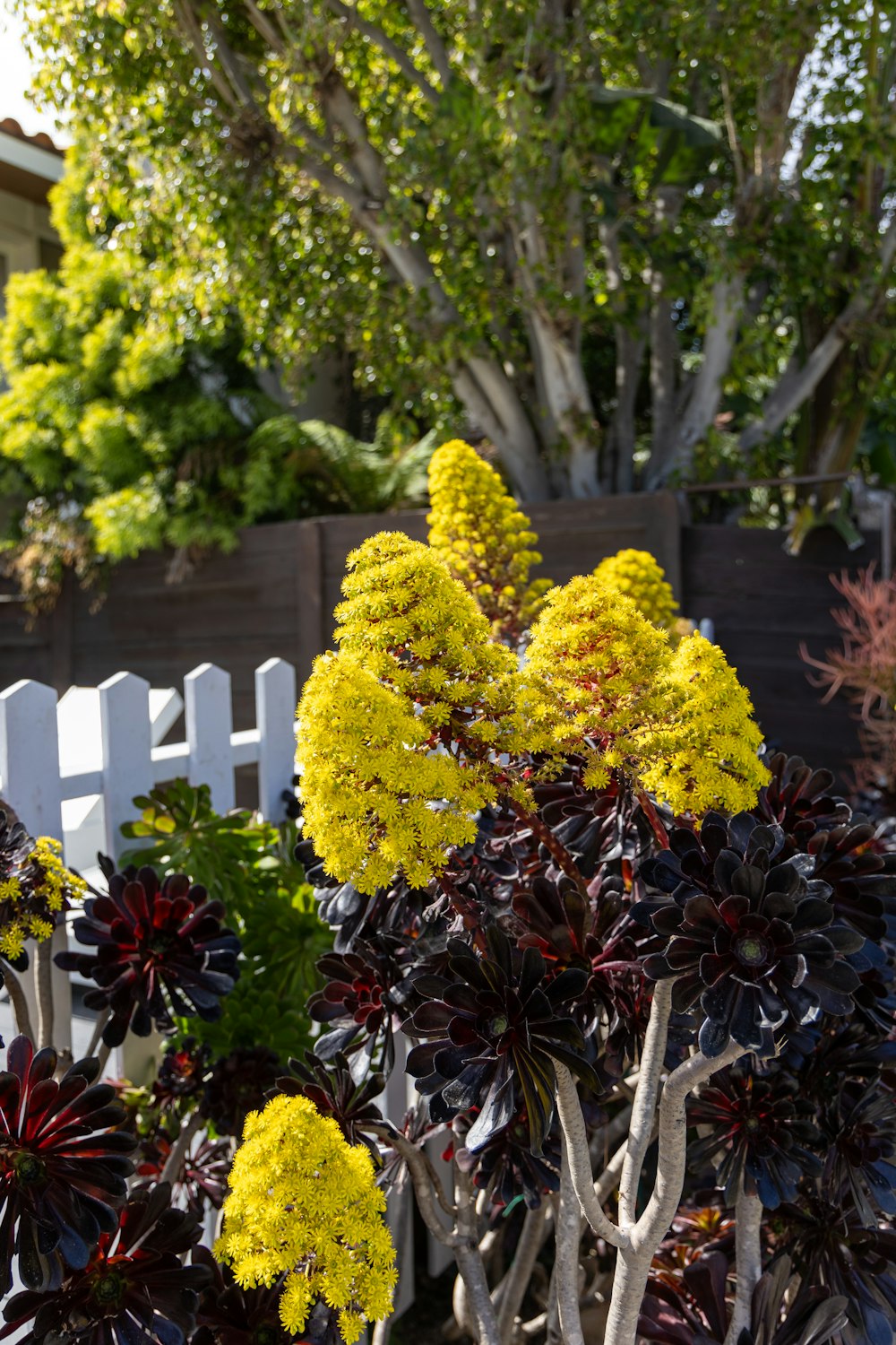 a white picket fence surrounded by plants and trees