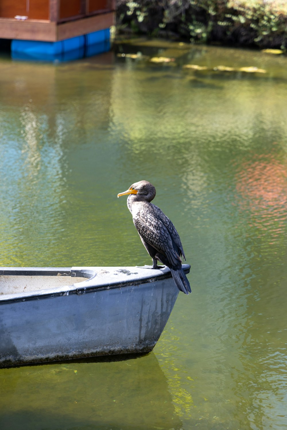 a bird is sitting on the edge of a boat