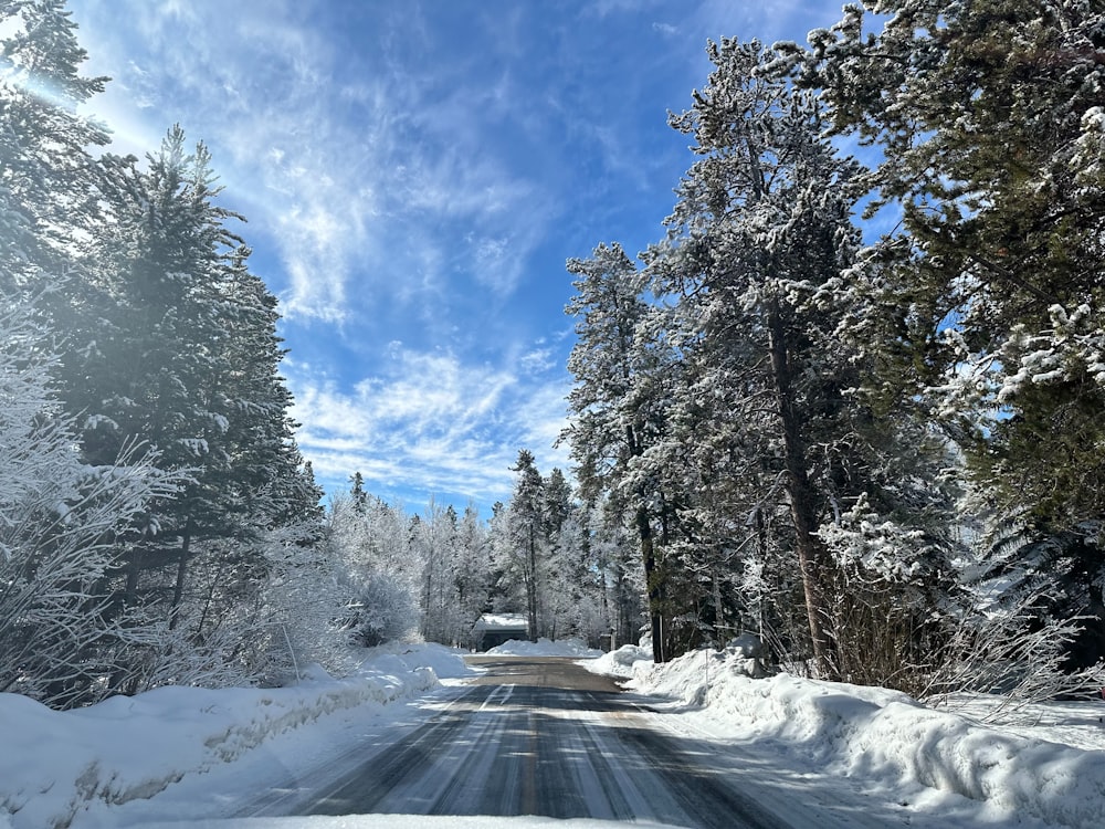 a snow covered road surrounded by trees under a blue sky