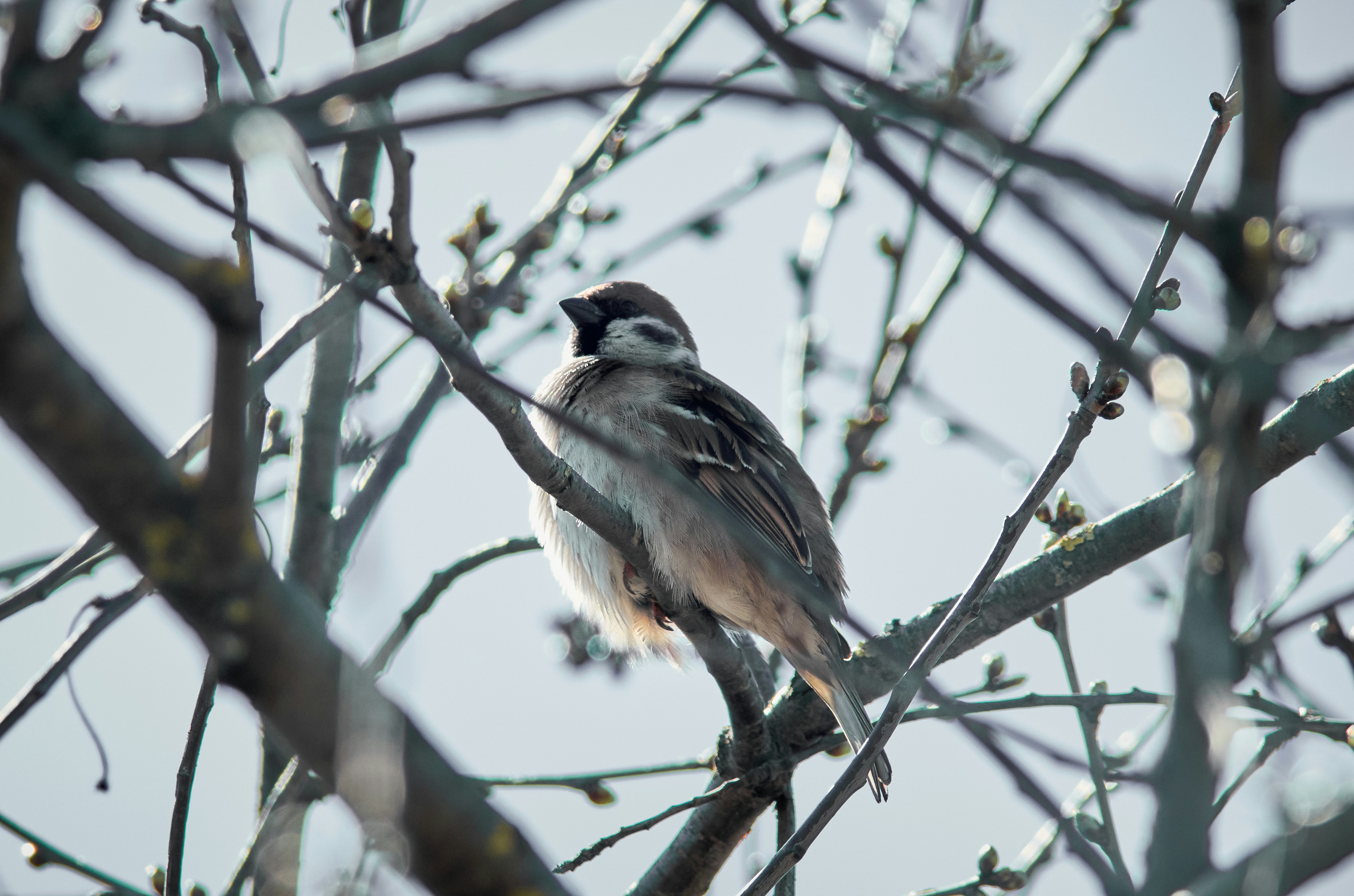 Photo by manuallensfan