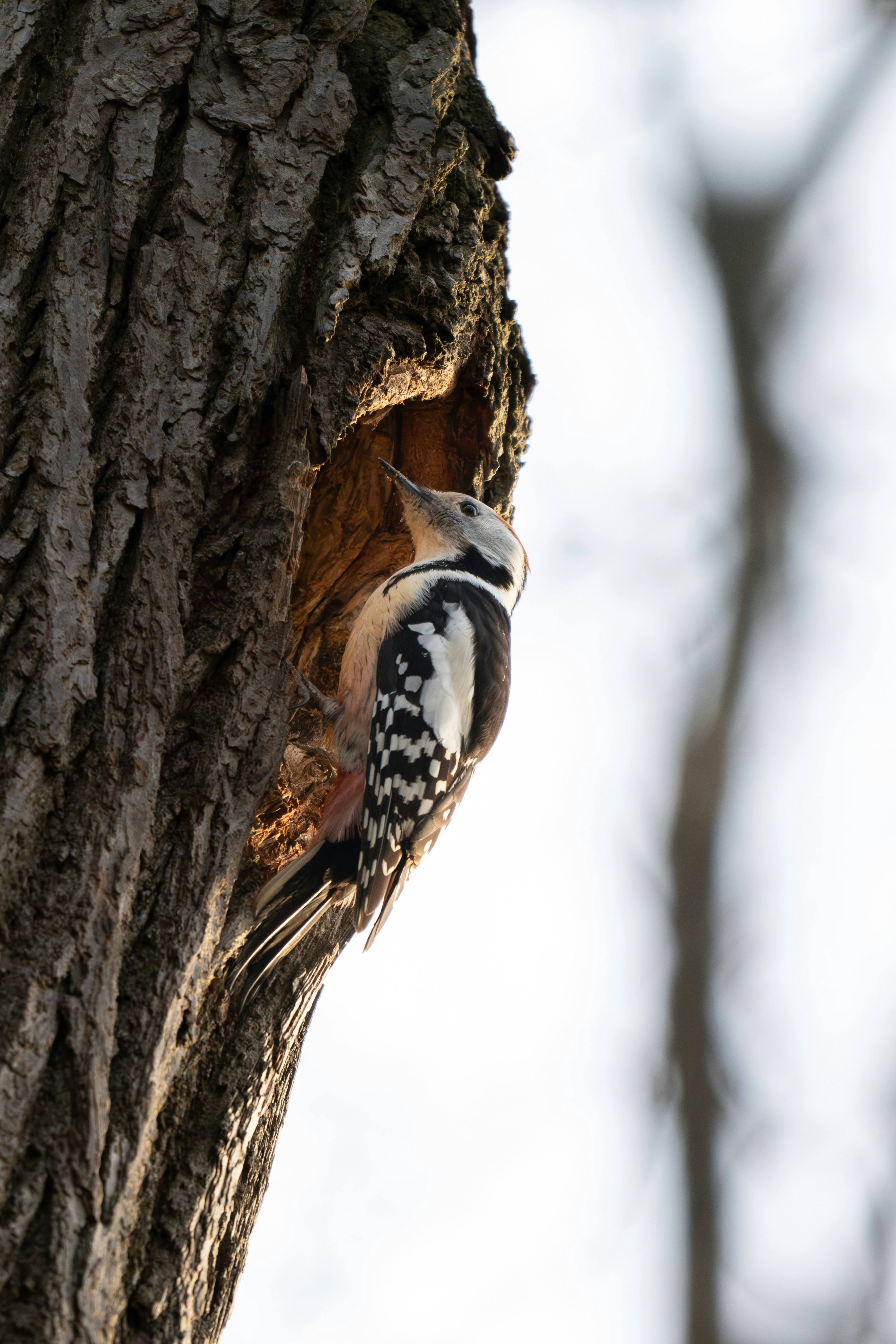 Photo by andreystrizhkov