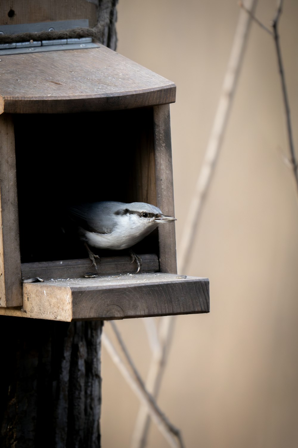 a bird is sitting in a bird house