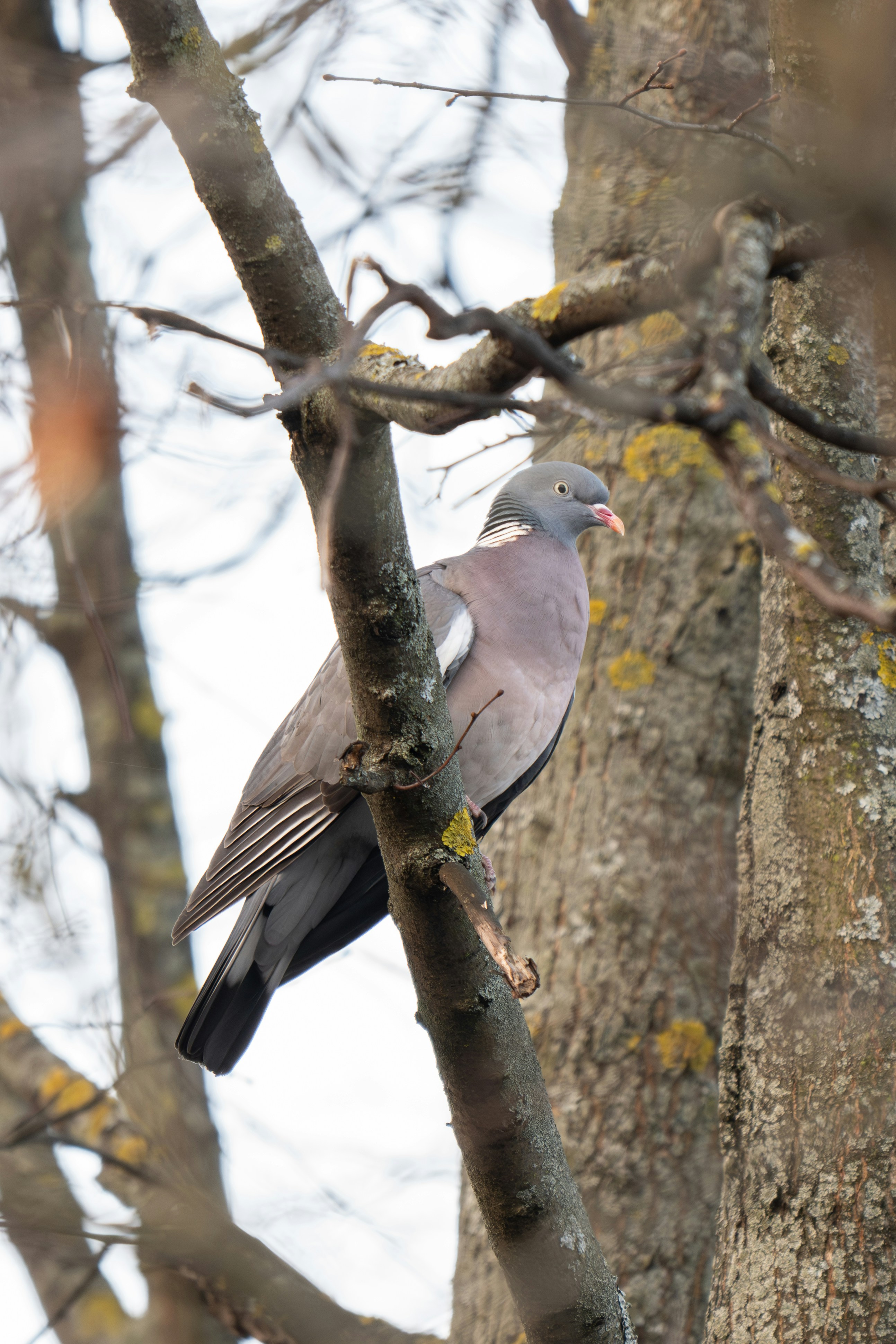 Photo by andreystrizhkov