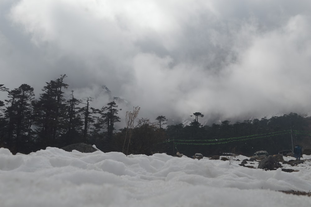 a mountain covered in snow with trees in the background