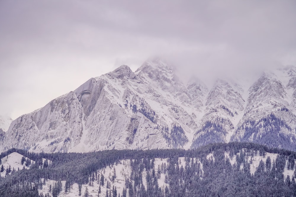 a snow covered mountain with a forest below