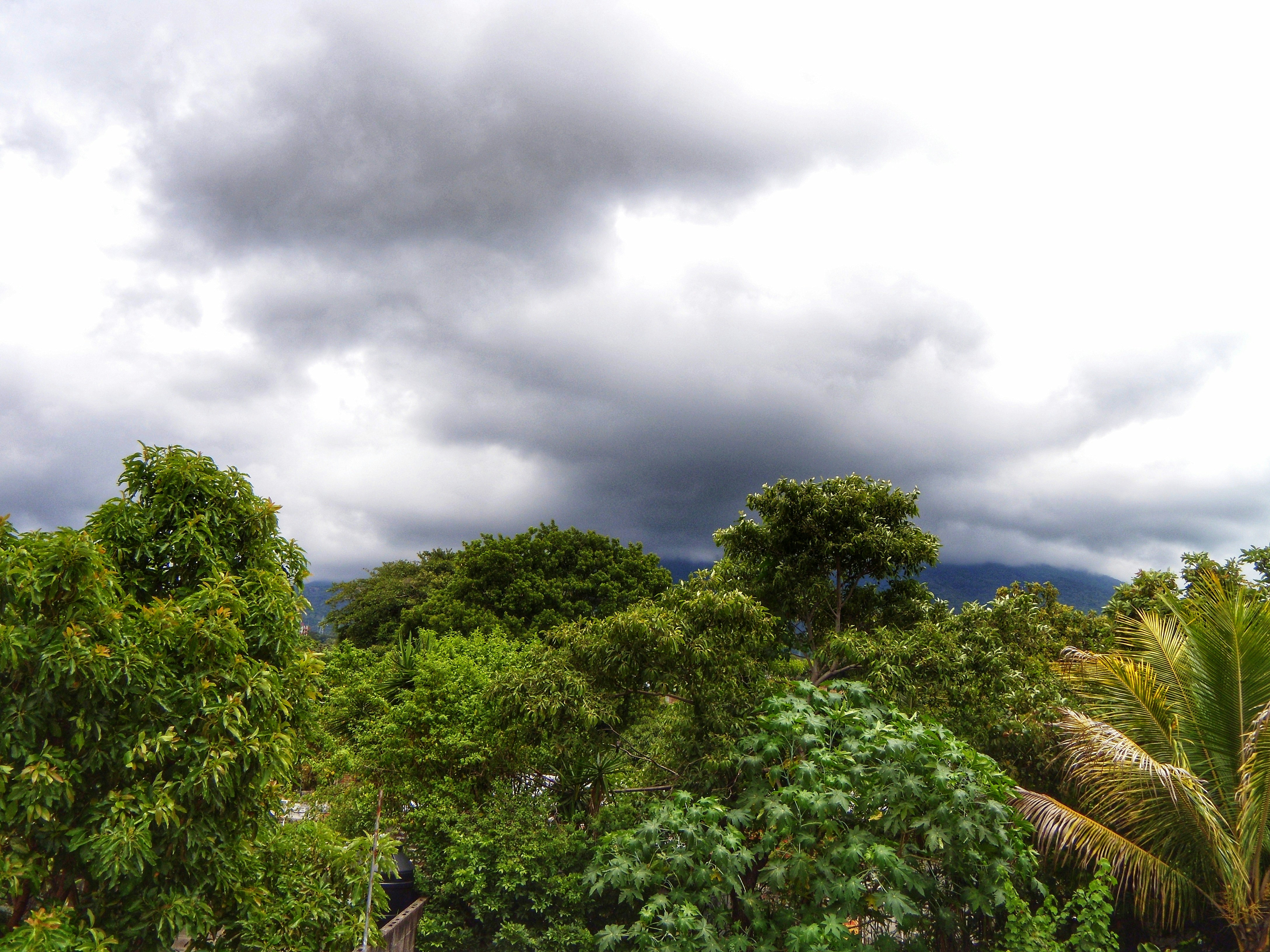 a lush green forest filled with trees under a cloudy sky, Dark clouds over the San Salvador volcano, 2009.