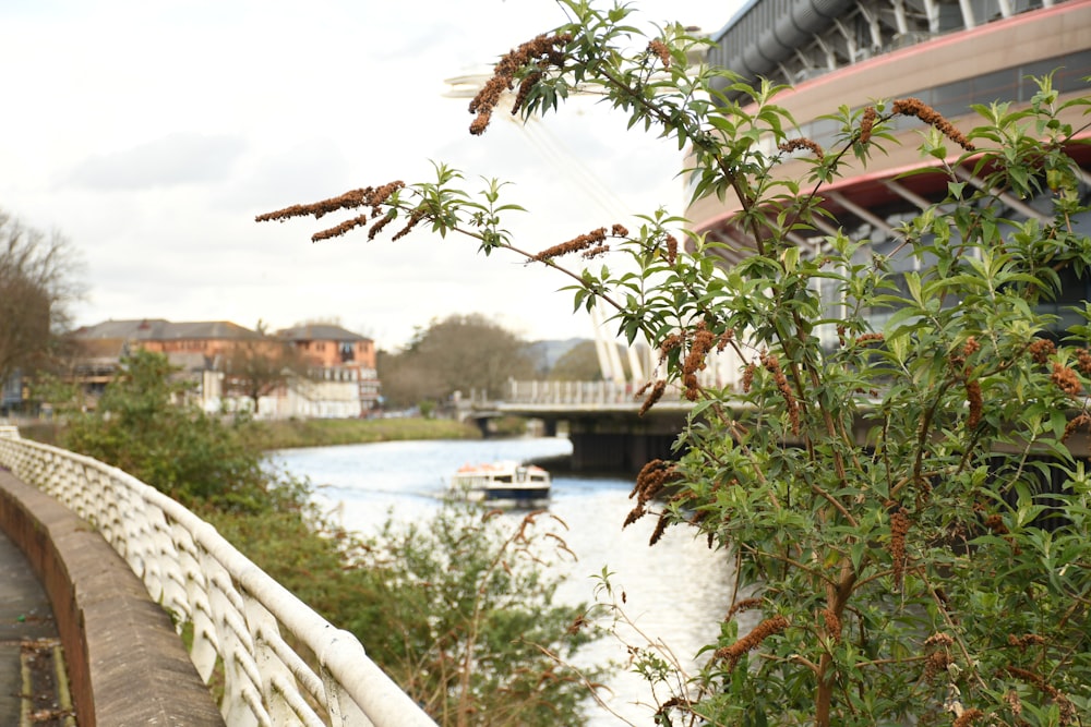 a view of a bridge over a body of water