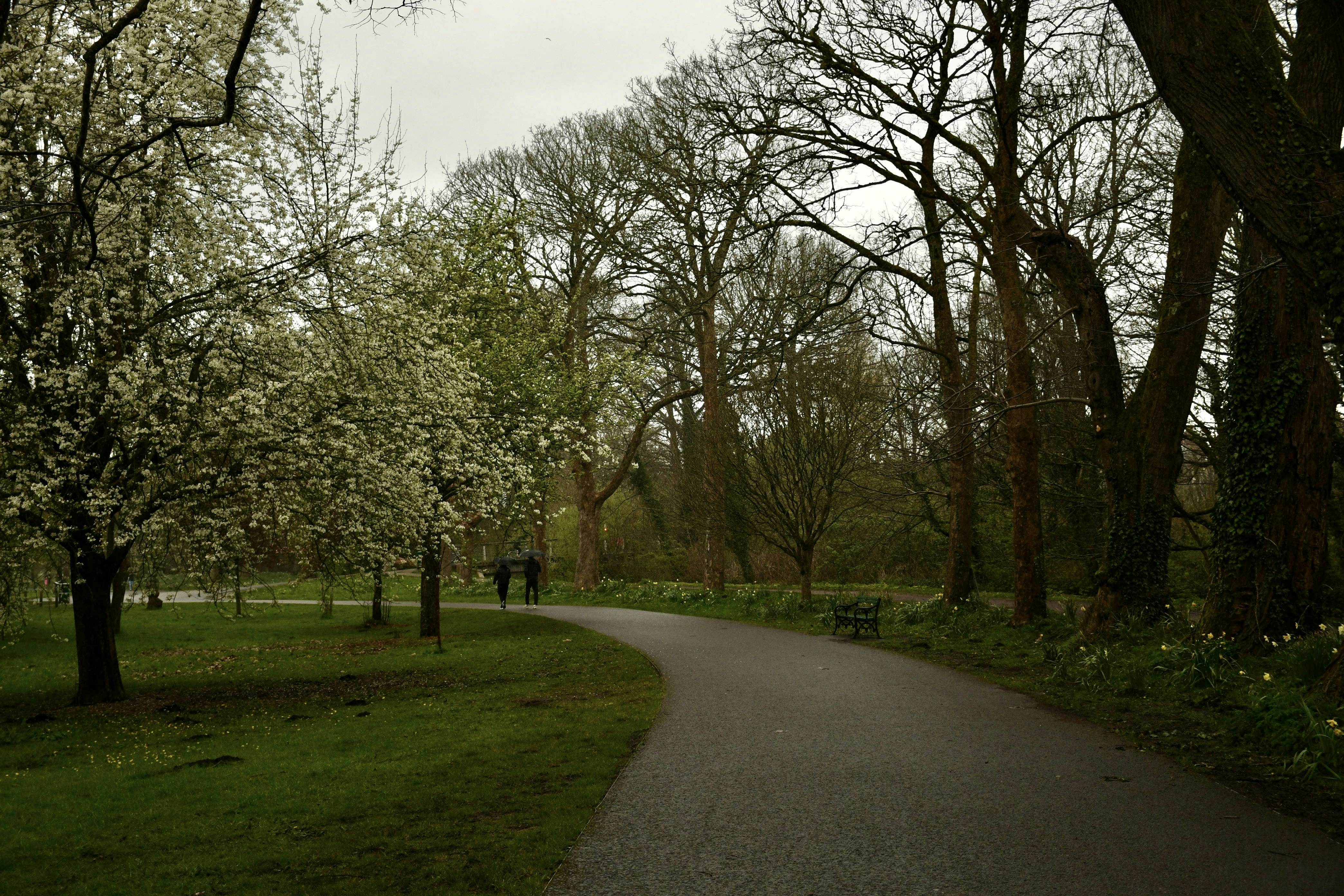 Photo by wrishi2004m