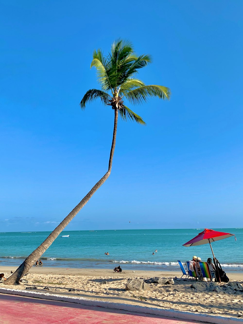 a palm tree on a beach with a red umbrella
