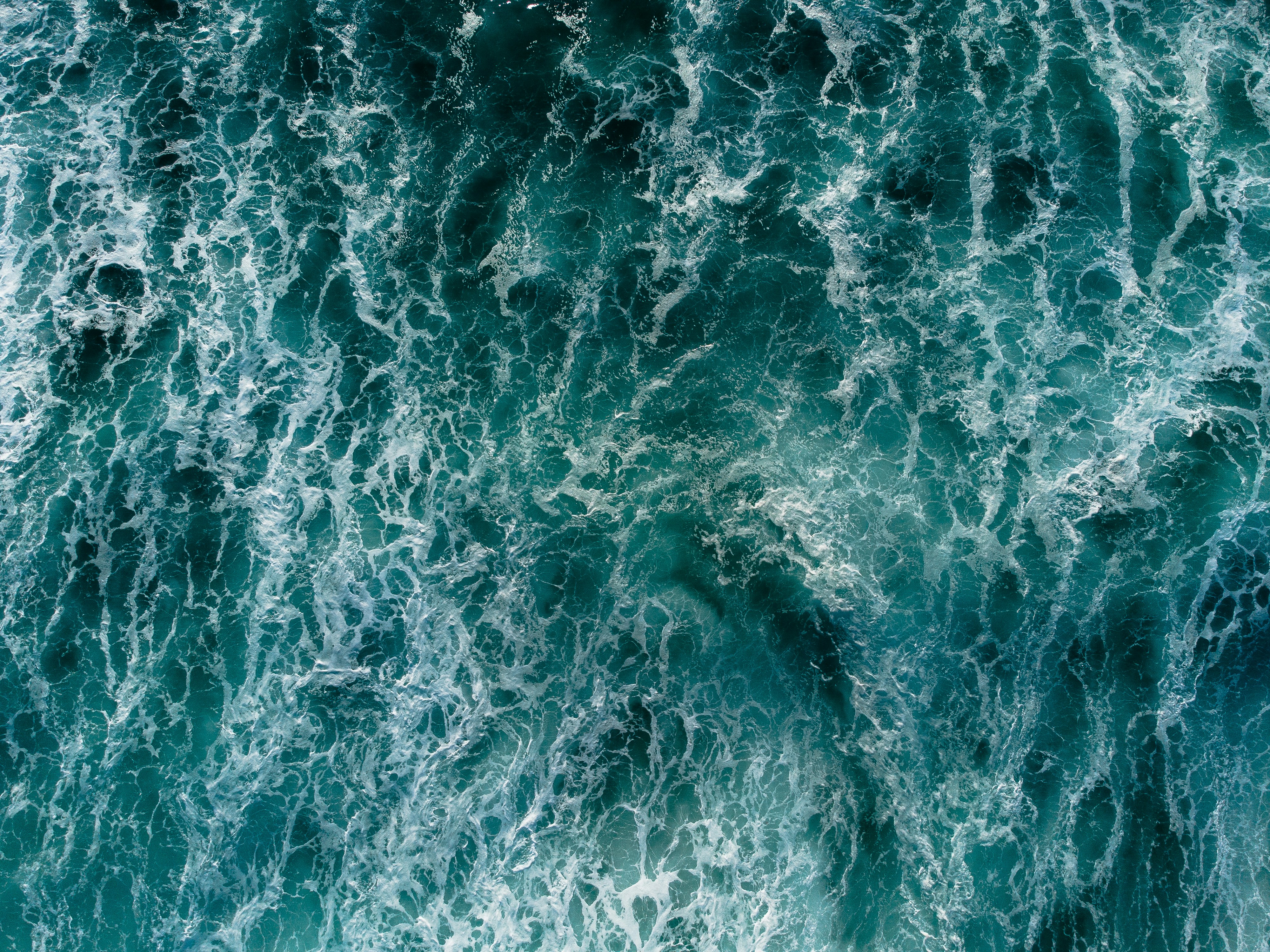 Photo by daniel_pascoa