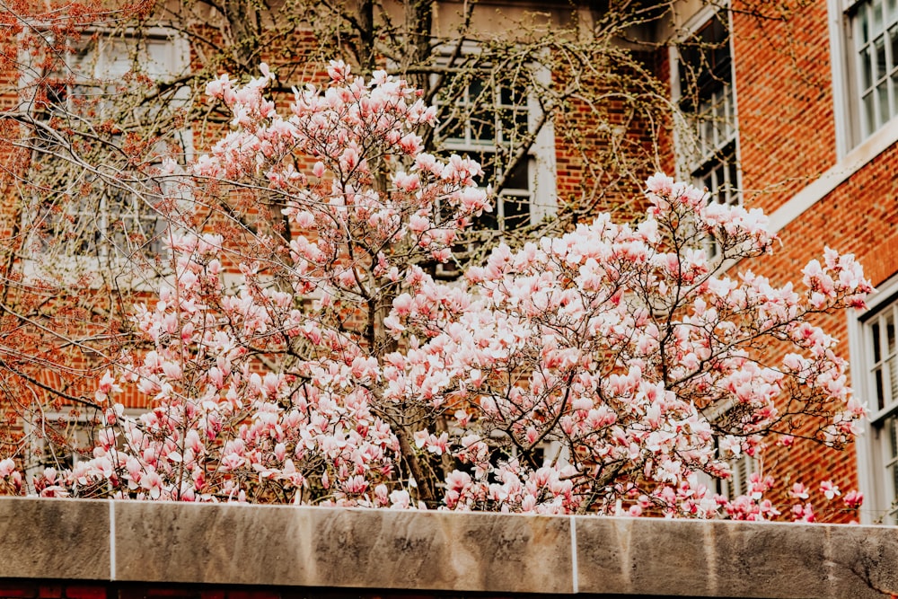 a red fire hydrant sitting next to a tree